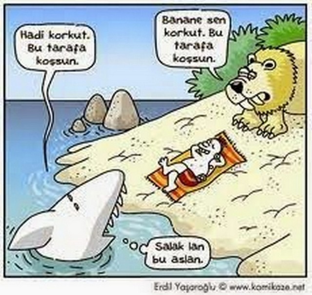 Karikatur031066