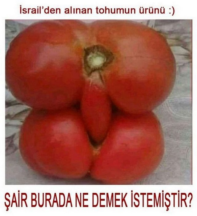 Karikatur031160