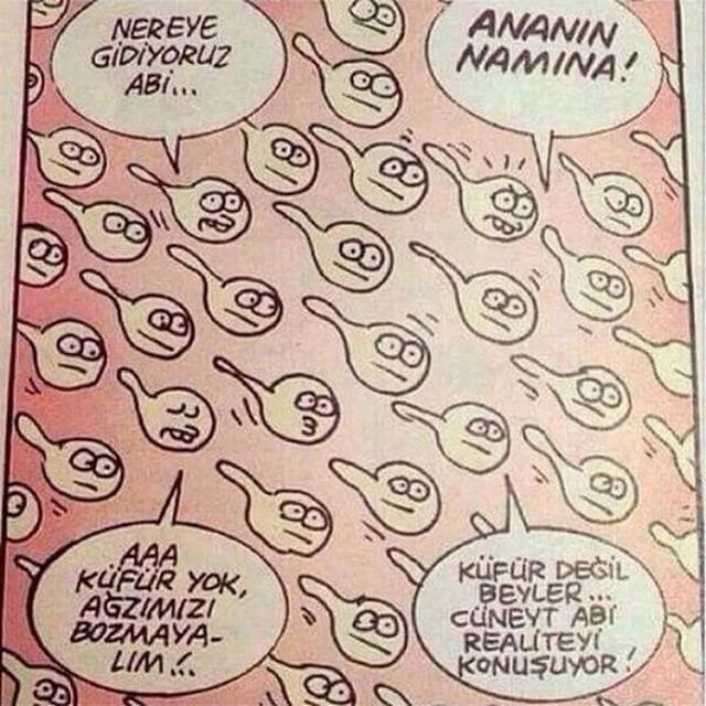Karikatur031249