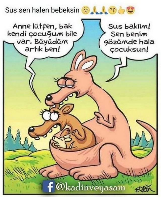 Karikatur031279
