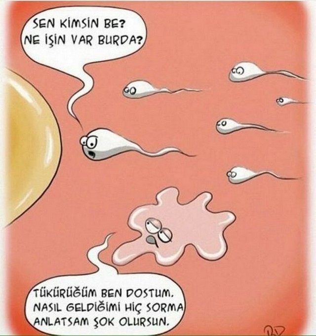 Karikatur031284