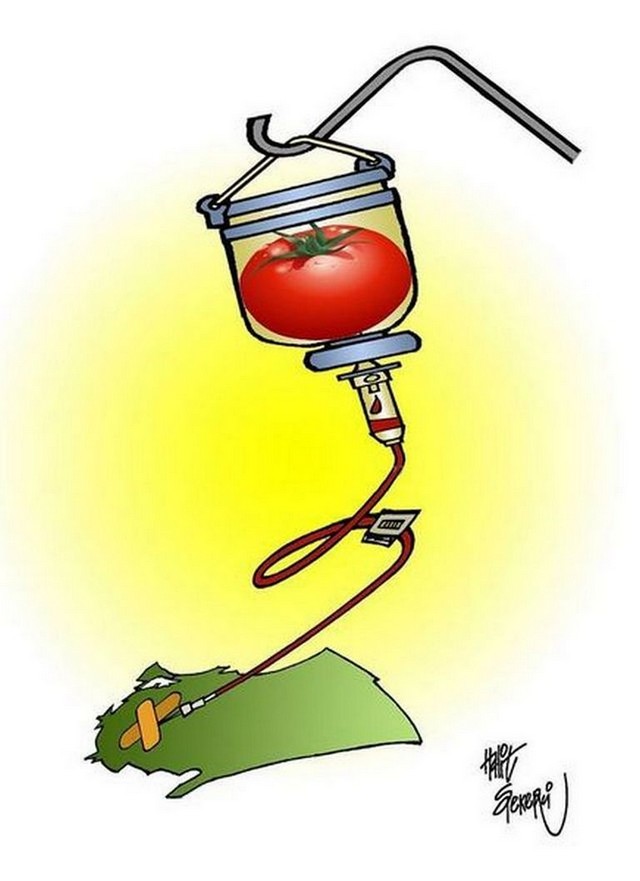 Karikatur031375