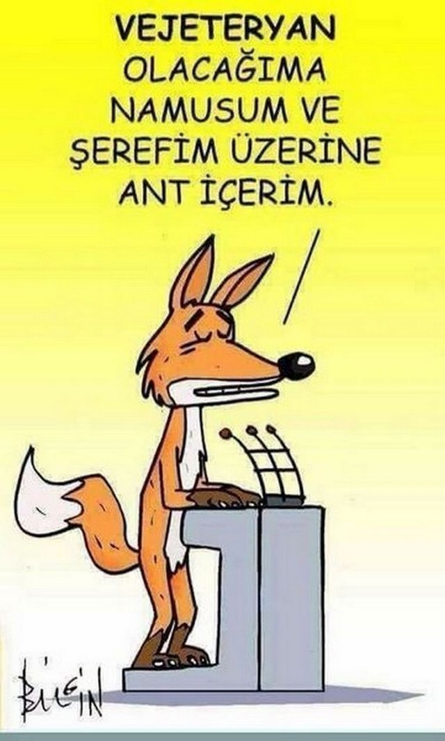 Karikatur031401