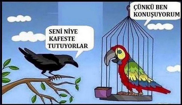 Karikatur031408