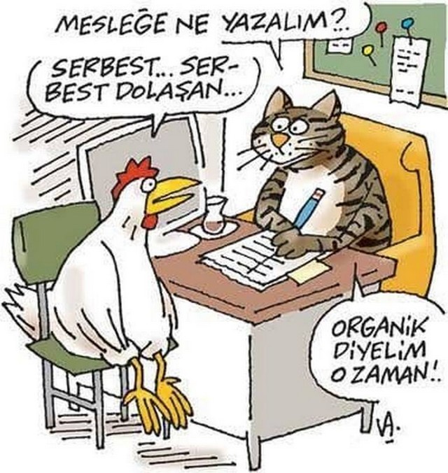 Karikatur031600