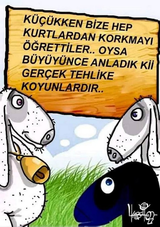 Karikatur031633