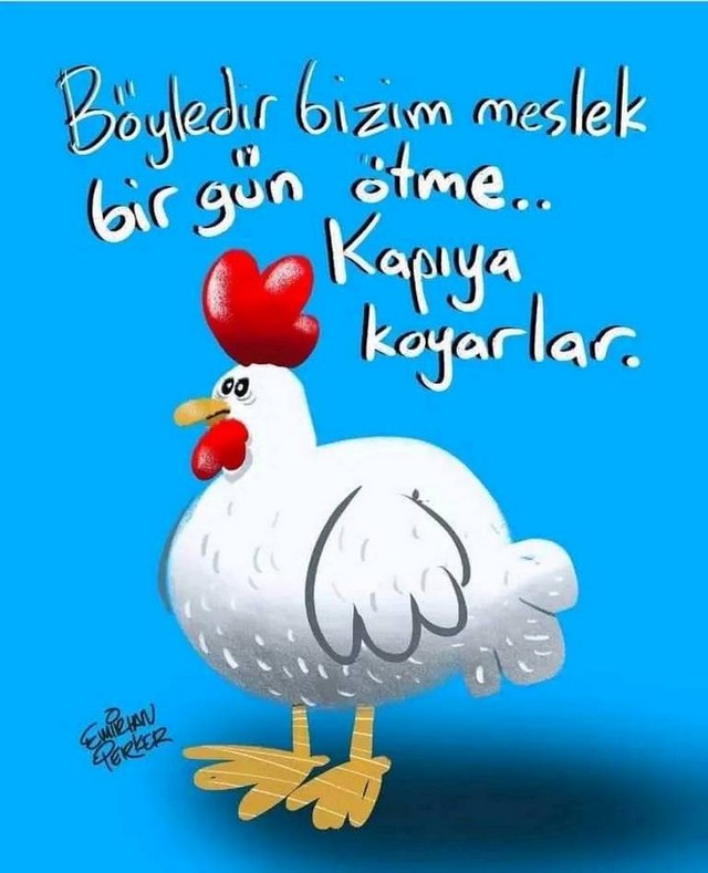 Karikatur031707