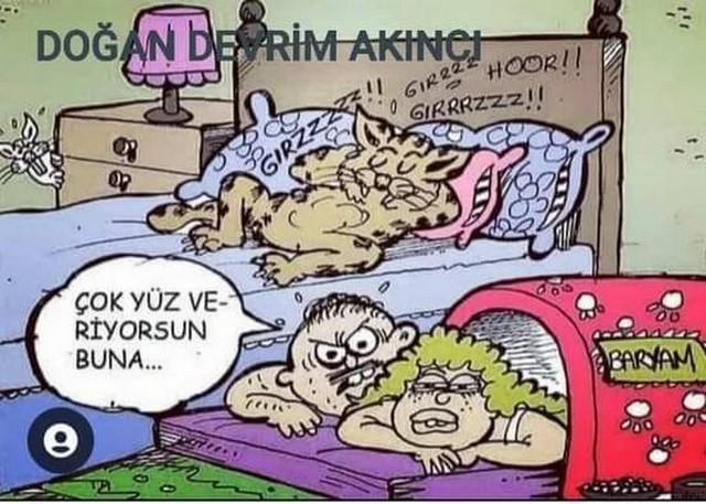 Karikatur031841