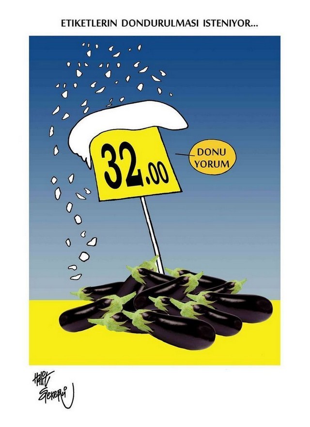 Karikatur032013