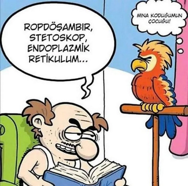 Karikatur032058