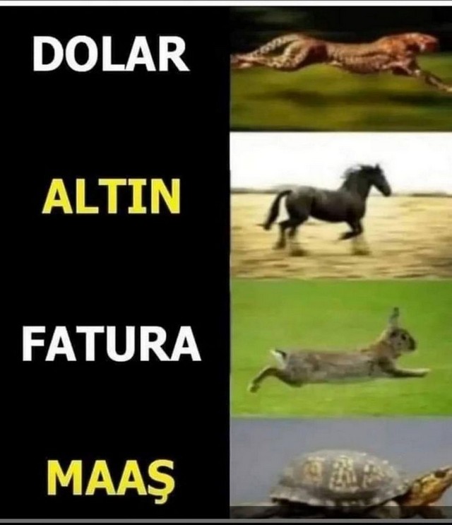 Karikatur032573