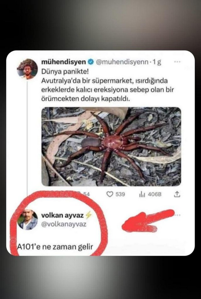 Karikatur032689
