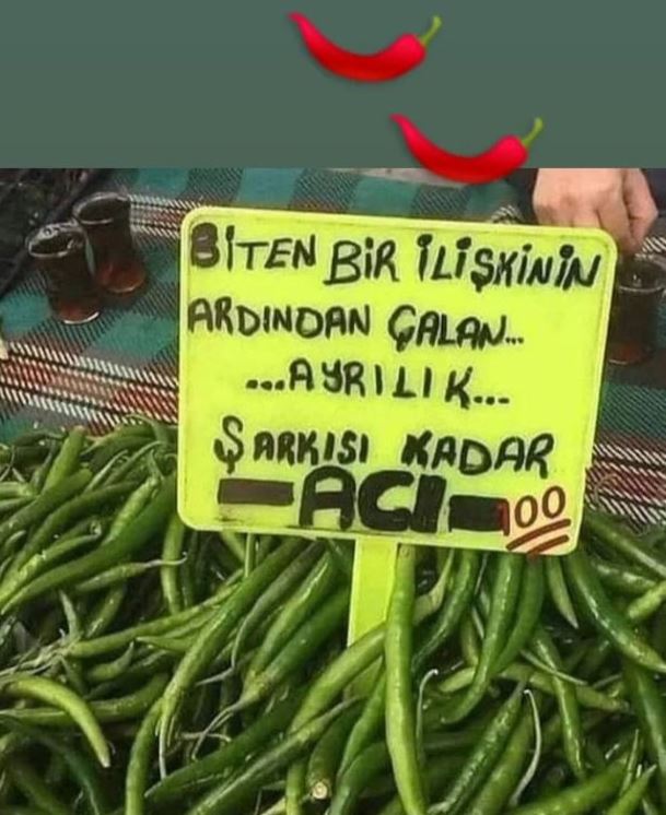 Karikatur032743