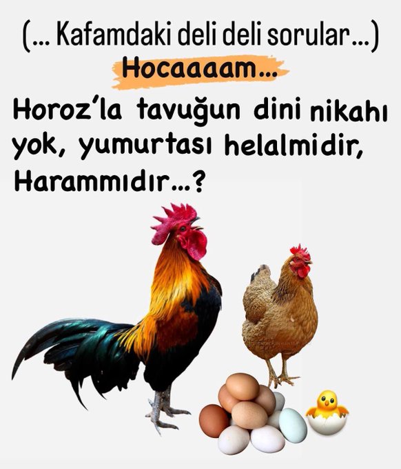 Karikatur032863