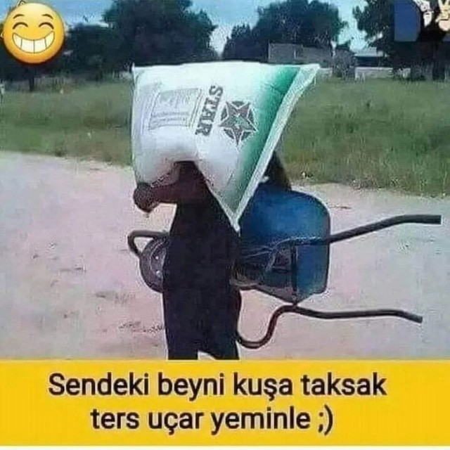 Karikatur032887