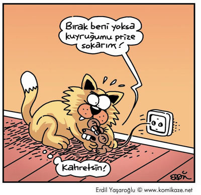 Karikatur032974