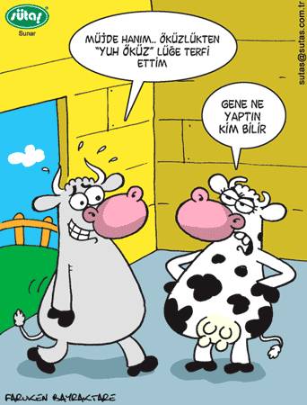 Karikatur033060