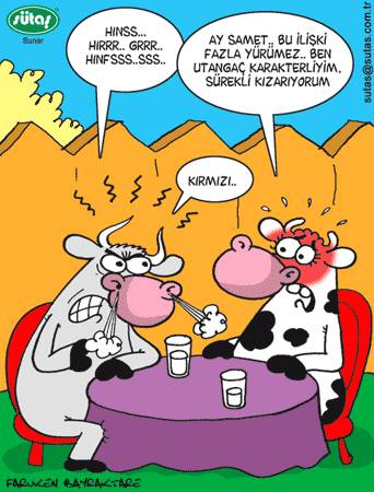 Karikatur033062