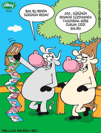 Karikatur033064