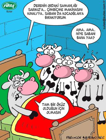 Karikatur033070
