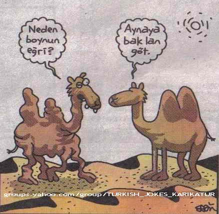 Karikatur033105