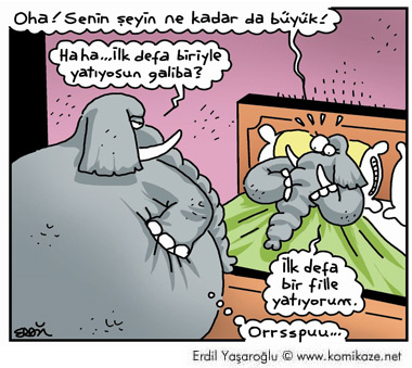 Karikatur033208