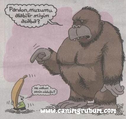 Karikatur033240
