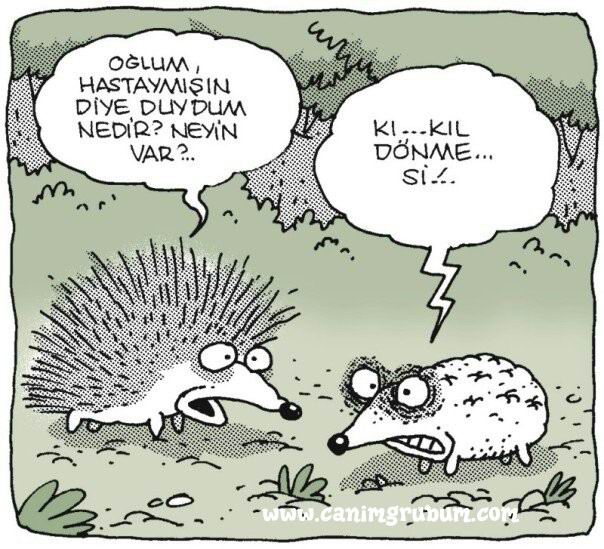 Karikatur033241