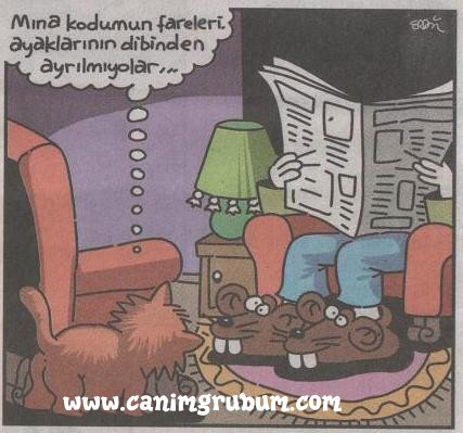 Karikatur033271