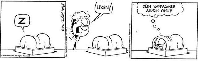 Karikatur033410