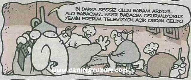 Karikatur033447