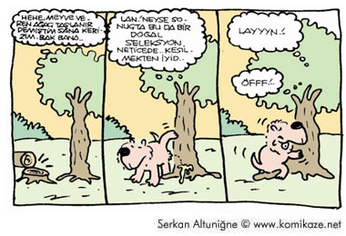 Karikatur033517