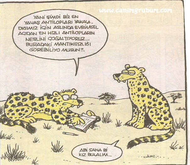 Karikatur033552