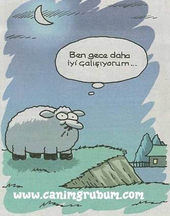 Karikatur033606