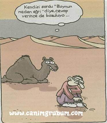 Karikatur033610