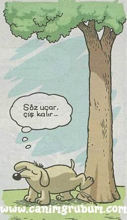 Karikatur033614