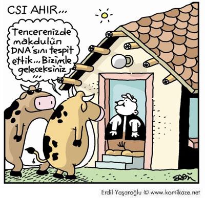 Karikatur033625