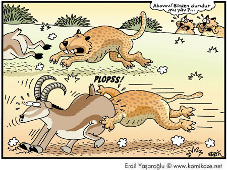 Karikatur033707