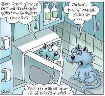 Karikatur033817