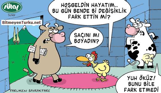 Karikatur033840