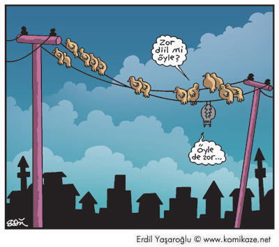 Karikatur033963