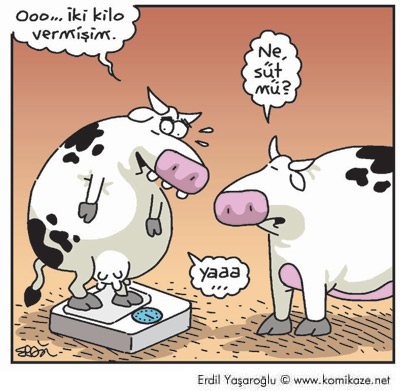 Karikatur033966