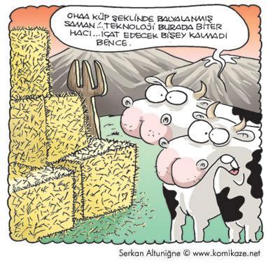 Karikatur033976