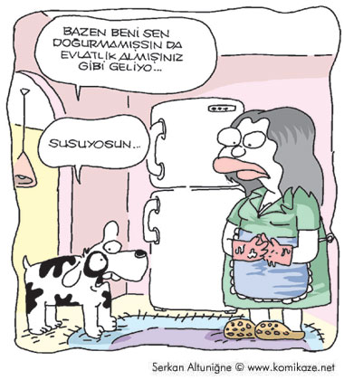 Karikatur033981